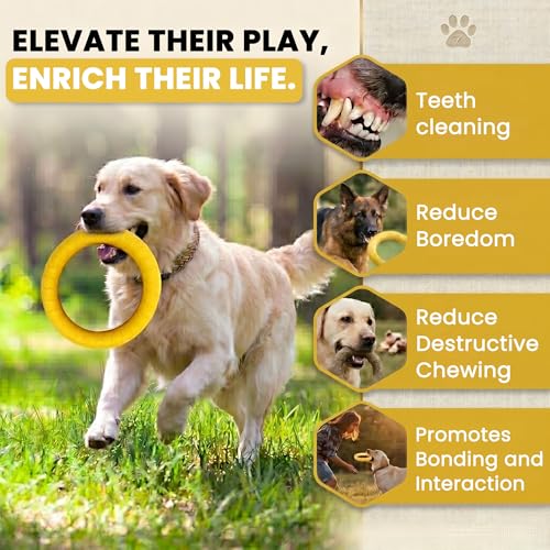 Opal Abode 3-Piece Floating Dog Ring & Ball Toy Set – product image 7